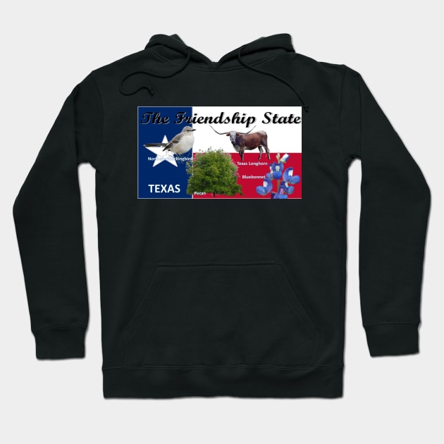 Texas State Flag and Symbols Hoodie by Battlefoxx Living Earth